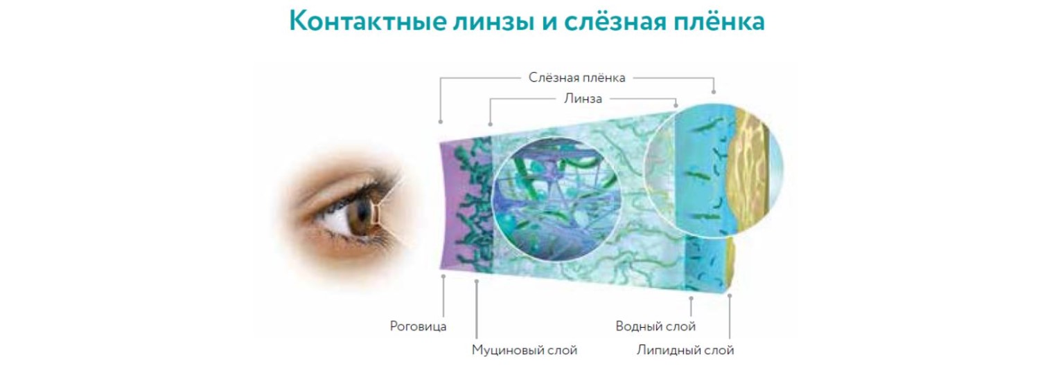 Купити Торические однодневные линзы Acuvue Oasys 1-Day for Astigmatism Johnson&Johnson | Теріторія лінз