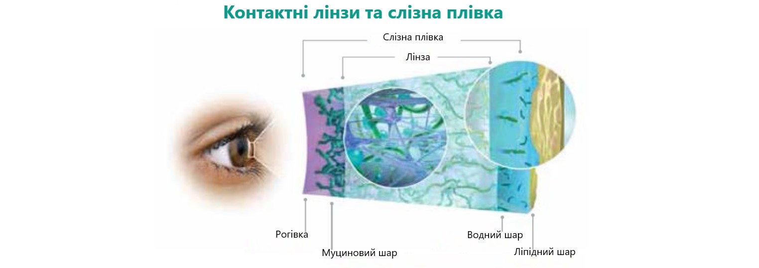 Технологія HydraLuxe одноденної контактної лінзи Acuvue Oasys 1-Day Johnson&Johnson
